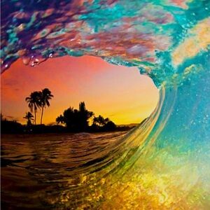 Meet your Posher, Cody